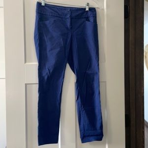 The Limited exact stretch pants